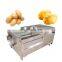 radicant cleaning stainless steel machine lotus root cleaning machine