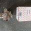 KLQ6145A original higer bus coach parts 35A01-27010 relay valve price bus higer repair part