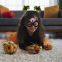 Customizable Halloween Eyewear - Pumpkin/Spider Styles, Festival Eyewear for Event Planners
