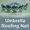 china 1 Lb. Electro Galvanized Umbrella Roofing Nail