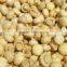 canned botton mushroom with best quality from China