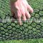 Grass protection Mesh