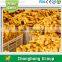 2015 new crop Linyi origin fresh ginger