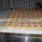 Full Automatic Cup Cake Making Line