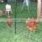 Lightweight plastic fence net for chicken net