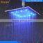 Beelee QH3258F Rainfall Water Powered LED shower head, LED Overhead Shower                        
                                                Quality Choice