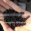 high CTC used for VOC coal columnar activated carbon