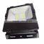 MW 30w COB Floodlight Bridgelux CE ROHS 3 years warranty
