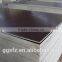 hight quality 1220x2440mm eucalyptus plywood for commercial/construction