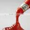 Tomato paste complete production line