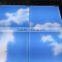 100-240VAC 600X600MM 48W SMD3528 CE Frameless LED Sky Light Panel