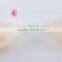 Hi quality butterfly wing silicon full transparent bra