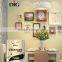 Digital Color inner scrub resistant wall paint