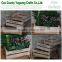 small wooden crates wholesale,flower pot crates,pine wood crates