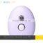 Multi-Function Beauty Equipment Mini Skin Rejuvenation Facial Steamer With CE Certification Lip Line Removal