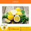 Fresh Yellow/Green Lemons for Food Flavouring from Industry's Best Supplier