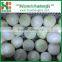 Chinese fresh peeled onion