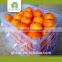 wholesale orange export with great price