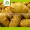 Good Brand Buy Potatoes Online