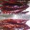 Indian Red Dry Chilli
