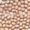 HIGH QUALITY GROUNDNUT KERNEL FOR SELL
