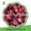 Iqf Frozen Organic Strawberry,Frozen Strawberries Brands Box Frozen Strawberries