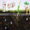 Hot sales !!! liquid humic acid+N 6 P6 K18 Q30