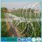 Cbt 65 concertina wire(razor wire) double spiral razor barbed wire