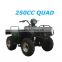 CE approvaled 250cc Jinling buggy cheap price quad bike for sale