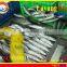 FROZEN LAYANG SCAD (MUROAJI) WHOLE ROUND
