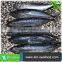 Hot Selling Without Faure Marin Bonito Exporting
