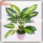 Indoor decor cheap bonsai plants for sale wholesale artificial bonsai tree and plant
