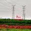 MEGATRO 220KV 2E5 SZC1 double circuit tangent transmission tower