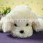 Wholesale cute white stuffed soft plush dog toy