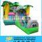 Strawberry inflatable fraise bounce combo/slide bouncer
