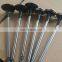 LR010863 Engine Intake Valve Landrover Model Landrover 5.0T