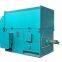 Y Yks Ykk High Voltage (3KV 6KV 10KV) AC Motor Factory