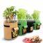 vegetable planter grow bags  with access flap