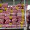 factory price chinese natural red garlic(normal white garlic, purple garlic, white garlic)