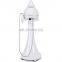 Best Selling Ultrasonic Import Facial Care Wrinkle Removal Spa Machine