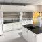 Bench Fume Hood Steel Medical Physics Chinese Lab Equipment Chemistry Fume Hood