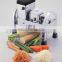 Multi julienne DX-80 ginger,lotus root and carrot slicer and shred machine