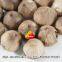 Black Garlic Product Bulk Sale