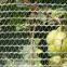 Batawa HDPE Agricultural Anti Hail Netting Orchard Tree Hail Protection Net with UV Resistance