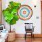 High Quality Fiddle Leaf Bonsai Plants Decorative Home Outdoor bonsai stand