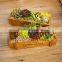 wooden planter box succulent plants in pots