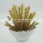 Synthetic artificial succulent plant, simulational succulent plant for wholesale