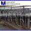 cow farm equipment cow and gate cattle livestock cattle panels cattle headlock