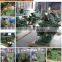 B635A Metal shaper for sale