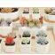 2016 BHM White Ceramic Succulent Plant Holder / Decorative Cactus Flower Planter Pot